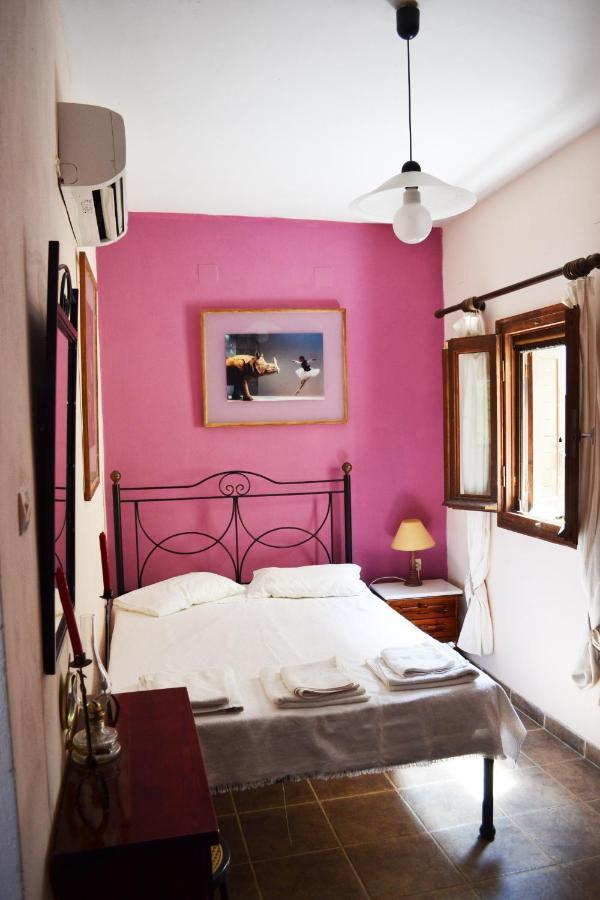 Appartement Avlitis à Ermoúpoli Extérieur photo